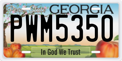 GA license plate PWM5350