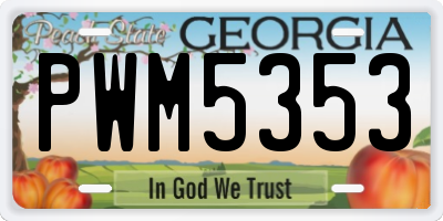 GA license plate PWM5353