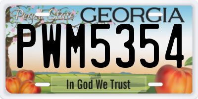 GA license plate PWM5354