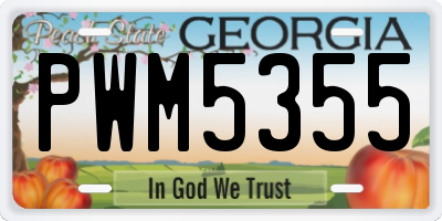 GA license plate PWM5355