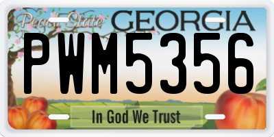 GA license plate PWM5356