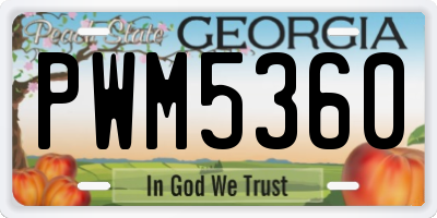 GA license plate PWM5360