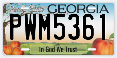 GA license plate PWM5361