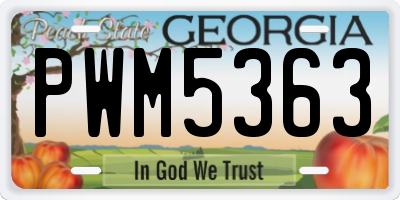 GA license plate PWM5363
