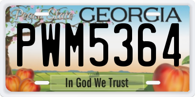 GA license plate PWM5364