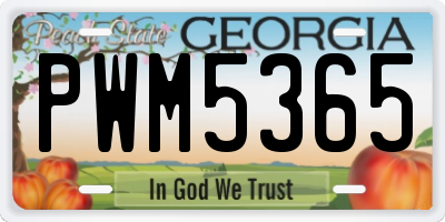 GA license plate PWM5365