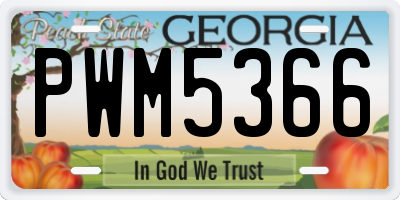 GA license plate PWM5366