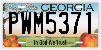 GA license plate PWM5371