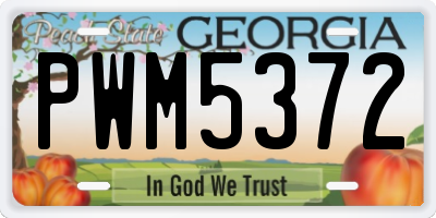 GA license plate PWM5372