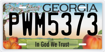 GA license plate PWM5373