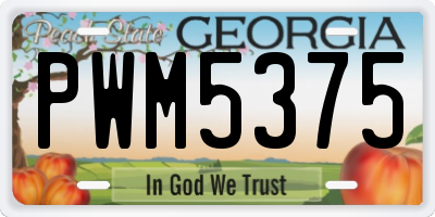 GA license plate PWM5375