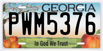 GA license plate PWM5376