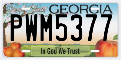 GA license plate PWM5377