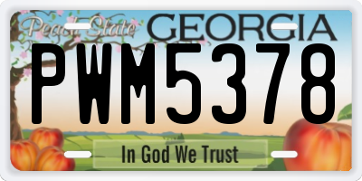 GA license plate PWM5378