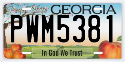 GA license plate PWM5381
