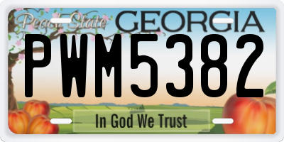 GA license plate PWM5382
