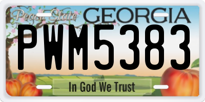 GA license plate PWM5383