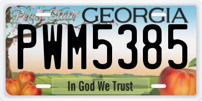 GA license plate PWM5385
