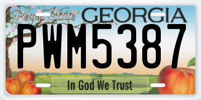 GA license plate PWM5387