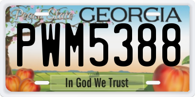 GA license plate PWM5388