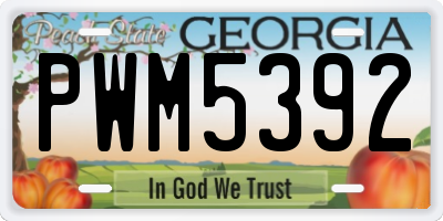 GA license plate PWM5392