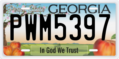 GA license plate PWM5397