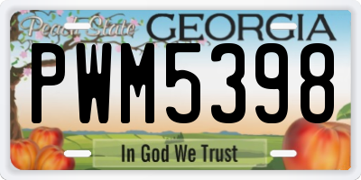 GA license plate PWM5398
