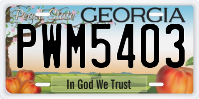 GA license plate PWM5403