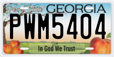 GA license plate PWM5404