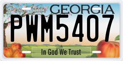 GA license plate PWM5407