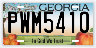 GA license plate PWM5410