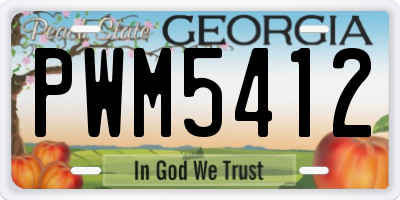 GA license plate PWM5412