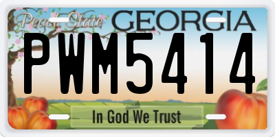 GA license plate PWM5414