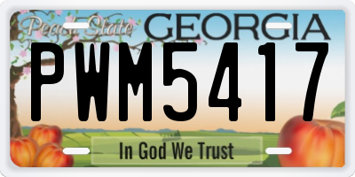 GA license plate PWM5417