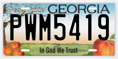 GA license plate PWM5419
