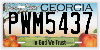 GA license plate PWM5437