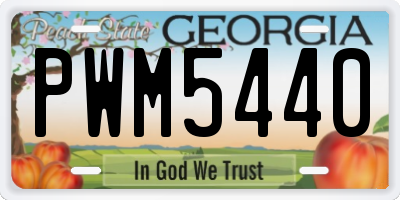 GA license plate PWM5440