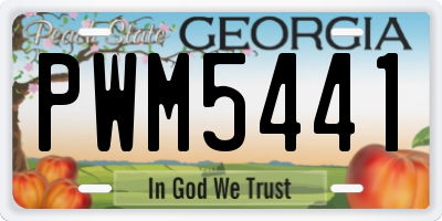 GA license plate PWM5441