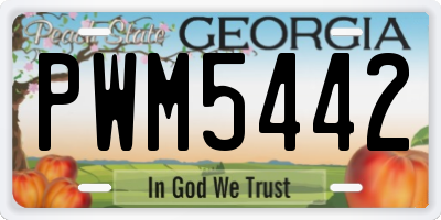 GA license plate PWM5442