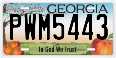 GA license plate PWM5443