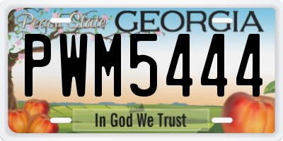GA license plate PWM5444