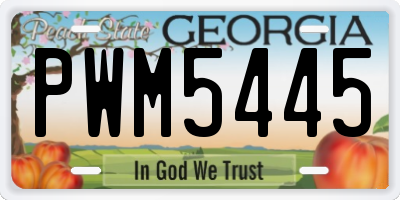 GA license plate PWM5445