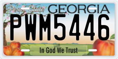 GA license plate PWM5446