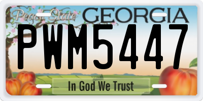 GA license plate PWM5447