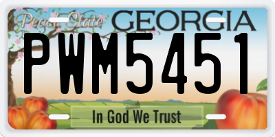 GA license plate PWM5451