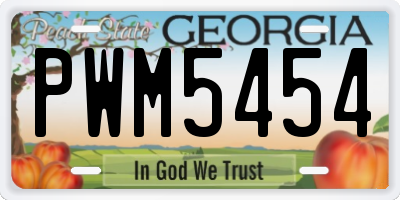GA license plate PWM5454