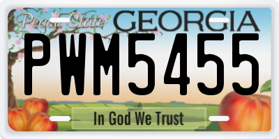 GA license plate PWM5455