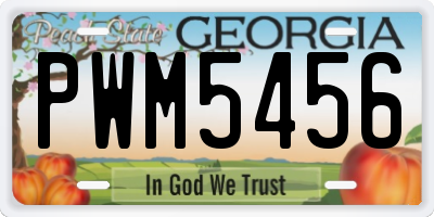GA license plate PWM5456