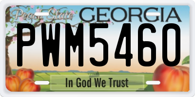 GA license plate PWM5460