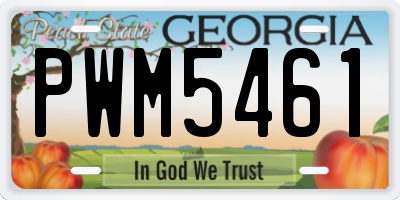 GA license plate PWM5461